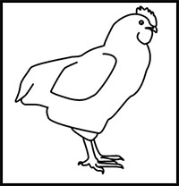 how to draw a chicken