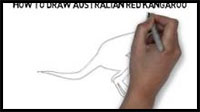 how to draw an Australian Kangaroo