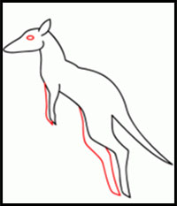 how to draw a kangaroo