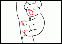 how to draw a koala