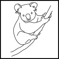 how to draw a koala