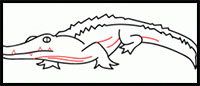 how to draw a crocodile