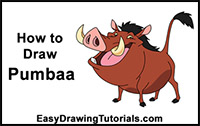 How to Draw Pumbaa from The Lion King