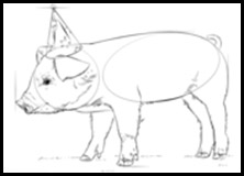 How to Draw a Cute Baby Pig