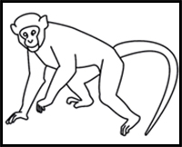 how to draw a monkey
