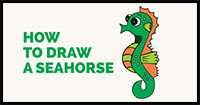 how to draw a seahorse
