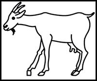 how to draw a goat