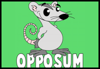How to Draw Cartoon Opossum with Step by Step Drawing Tutorial