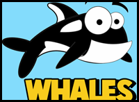 How to Draw Cartoon Orca Whales with Easy Step by Step Drawing Lesson