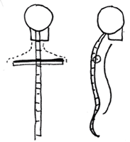 Human Body, Shoulders & Back : Cartoon & Illustration Drawing Tutorials