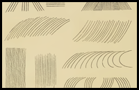 Draw Pen & Ink Line Art with Confidence