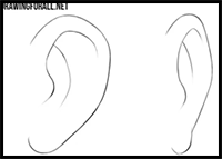How to Draw Anime Ears