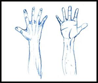 How to Draw Manga Hands and Feet for Beginners