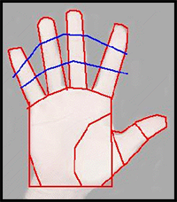 Anime
Drawing a Girl Sketching Tutorial