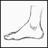 How to Draw Manga Hands and Feet