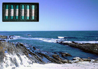 Pastel Painting Step-by-Step Seascape Demonstration