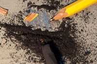 Charcoal Drawing Tips & Techniques