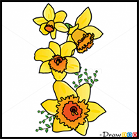 How to Draw Narcissus, Flowers