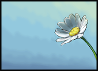 How to Draw a Daisy Flower