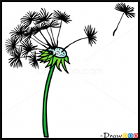 How to Draw Blowball, Flowers