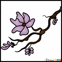 How to Draw Sakura, Flowers