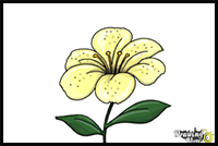 How to Draw a Flower Step by Step