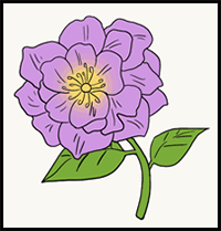 How to Draw a Peony