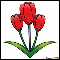How to Draw Tulip, Flowers