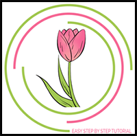 How to Draw Tulip