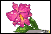 How to Draw a Violet