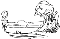 How to Begin Your Sketch