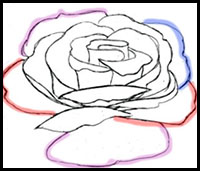 How to Draw Roses