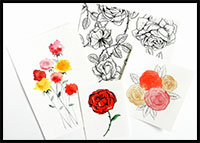 How to Draw Roses