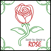 How to Draw a Rose