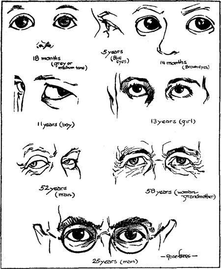 The eyes, and the change which they undergo from babyhood to mature age.