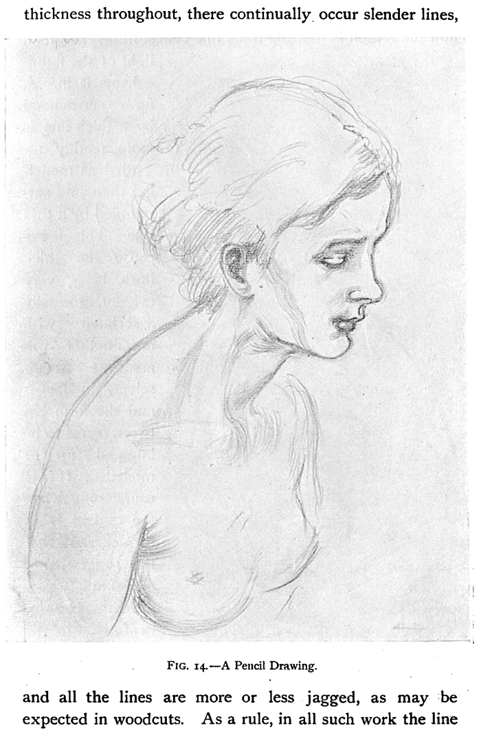 Pencil Drawing of Female Body