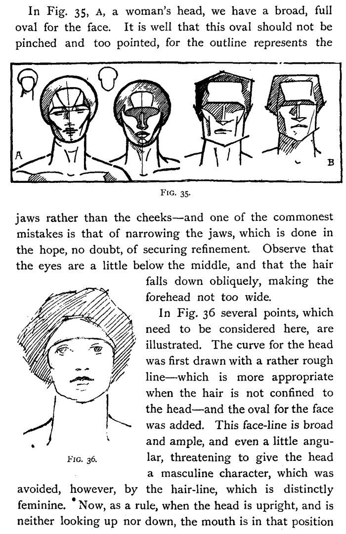 Different between male and female heads front view