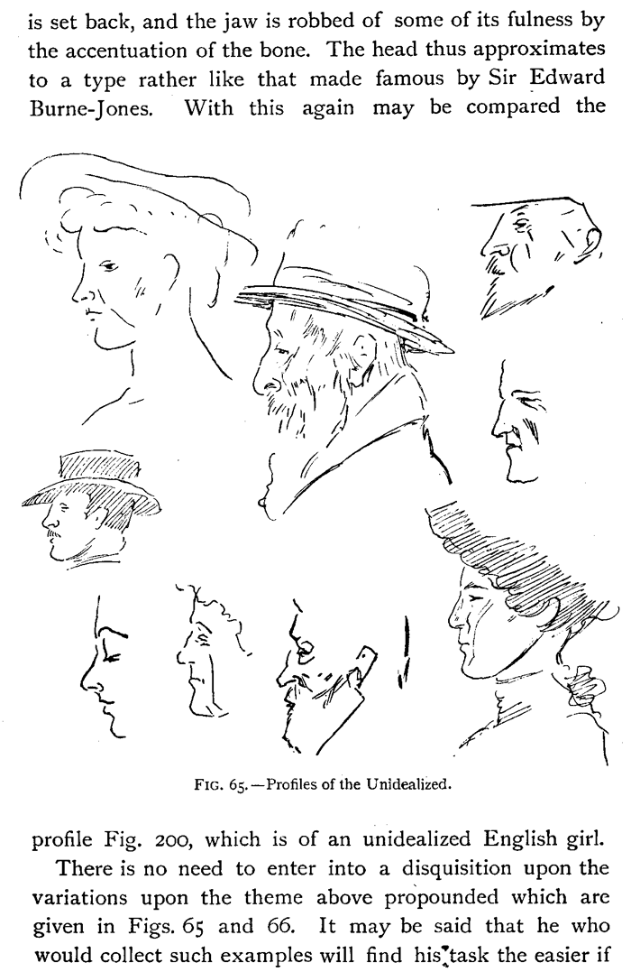 Drawing Head and Neck