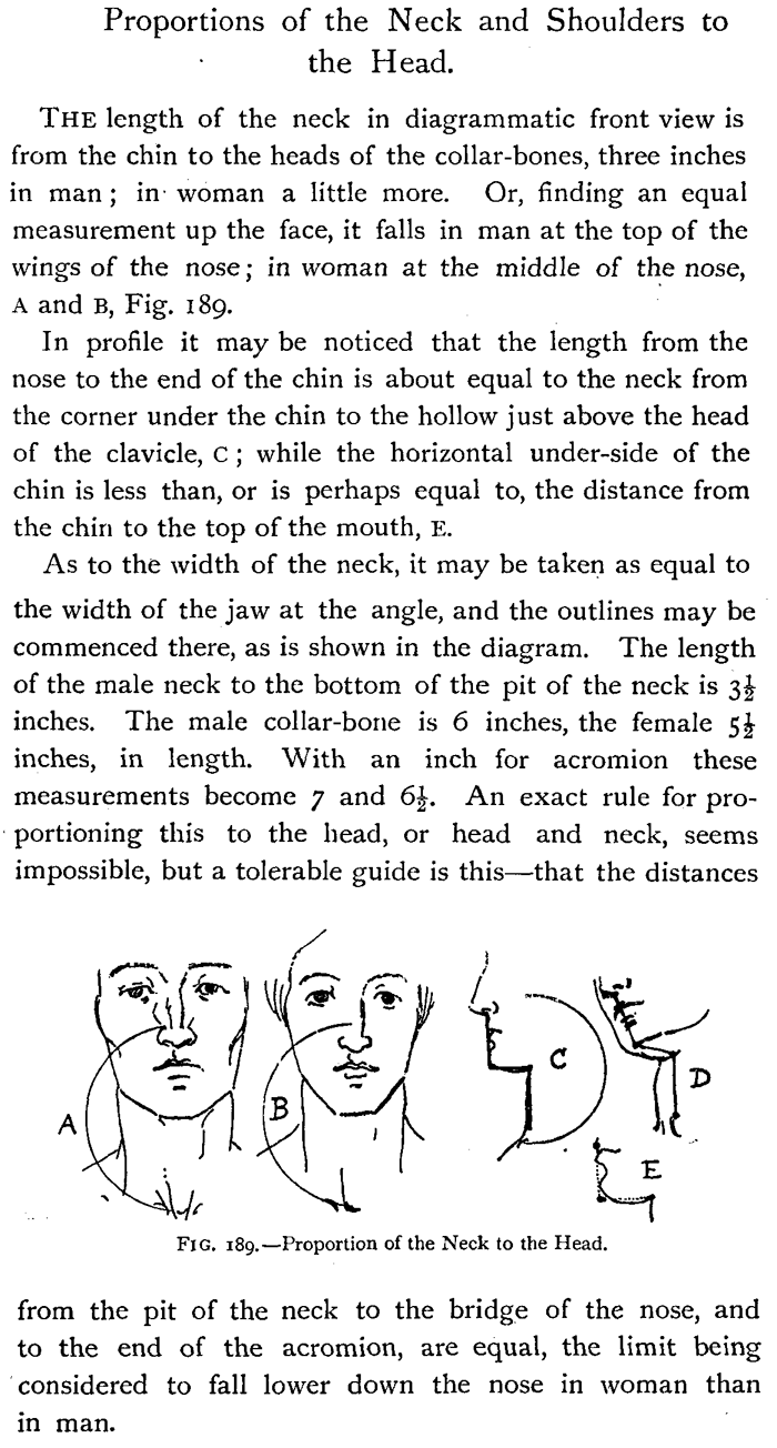 Drawing Head and Neck