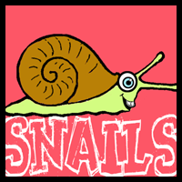 How to Draw Cartoon Snails with Easy Steps Drawing Tutorial