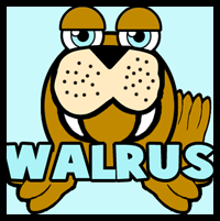 How to Draw Cartoon Walrus with Easy Step by Step Drawing Lesson