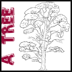 How to Draw Trees – Drawing Realistic Trees in Simple Steps