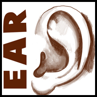 How to Draw Ears Side View with Easy Steps Lesson