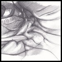 How To Draw The Wrinkles Under The Eye