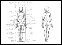 Female Figure Back View Tutorial