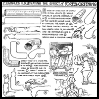 Drawing Figures in Foreshortening Perspective with Foreshortened Objects & Figures Lesson