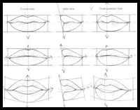The Mouth Analysis and Structure
