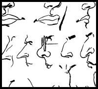 Drawing the Proportions of Human Head