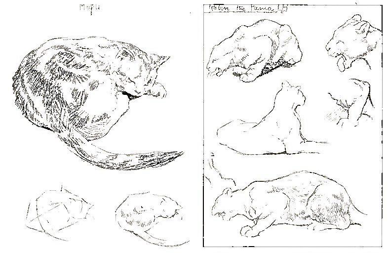 Drawing Your Pets