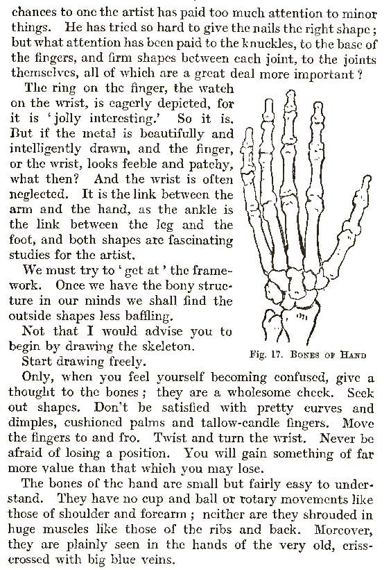 Hand Drawing TUtorials